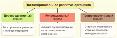 Примеры непрямого развития в истории и культуре