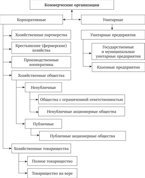 Примеры организационно правовых форм