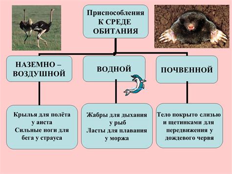 Примеры относительности приспособленности у животных