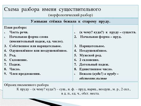 Примеры письменного разбора в разных областях