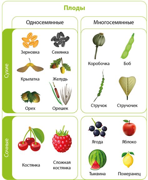 Примеры плода воображения