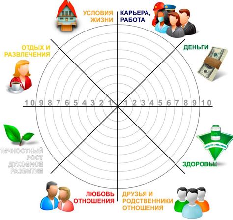 Примеры понимания в разных сферах жизни