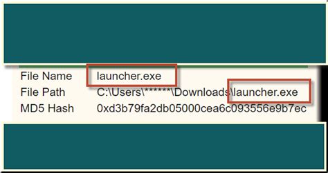 Примеры популярных программ, использующих launcher exe