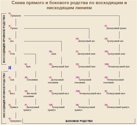 Примеры практического применения понятия степени родства между обучающимися