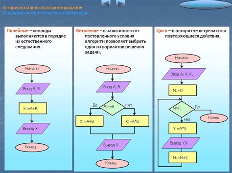 Примеры применения алгоритмов в информатике