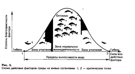 Примеры применения закона оптимума