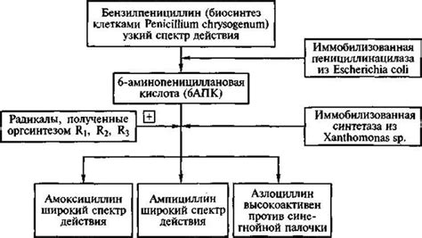 Примеры применения открытой биосистемы