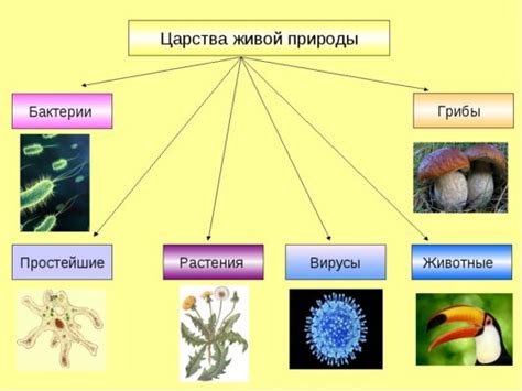 Примеры природы целого в биологии