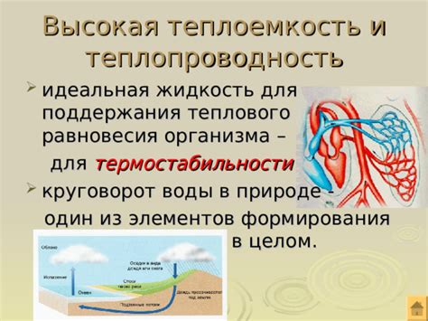 Примеры процессов, связанных с установлением теплового равновесия в природе