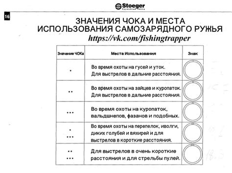 Примеры социальных стандартов в международной практике