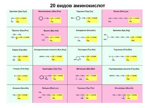 Примеры условно заменимых аминокислот