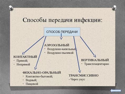 Примеры успешной борьбы с инфильтратами: уроки и рекомендации