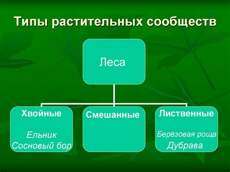 Примеры успешных сообществ сверстниц