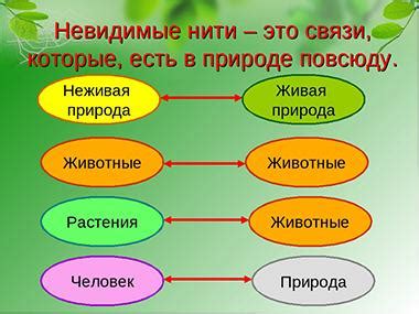 Примеры цепных связей в природе