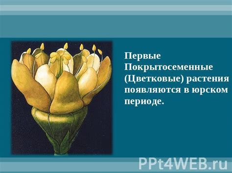 Пример полного доминирования в растительном мире