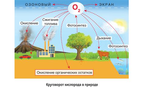 Пример 1: Избыток кислорода в организме