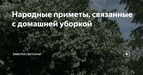 Приметы, связанные с ожиданием новой жизни в соответствии с народной мудростью