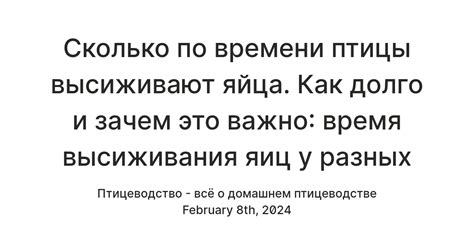 Принципы высиживания яиц: основные шаги и порядок действий