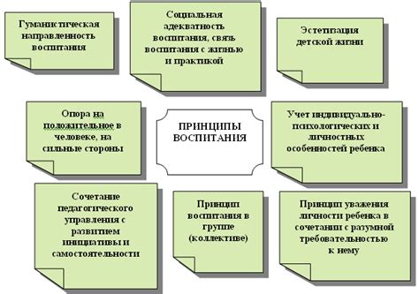 Принципы гармоничного воспитания питомца