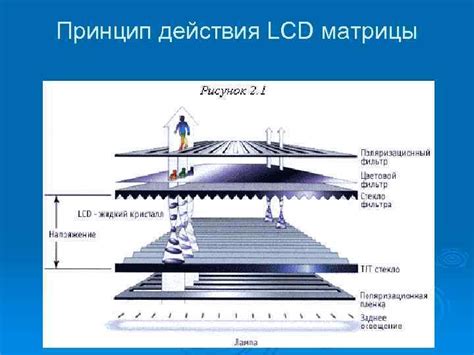 Принципы действия поляризации