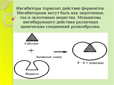 Принципы ингибирующего действия