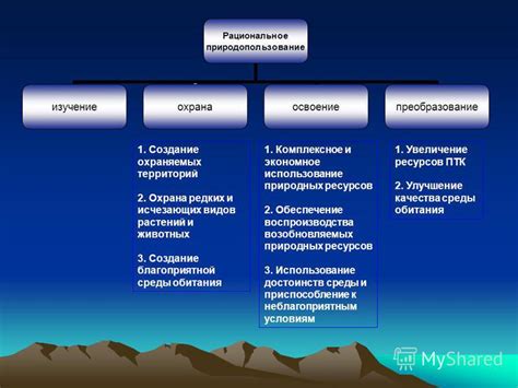 Принципы использования флажка