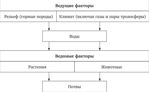 Принципы и методы перепрограммирования