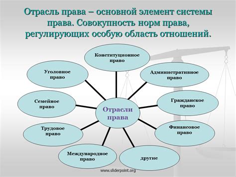 Принципы комплексной отрасли права