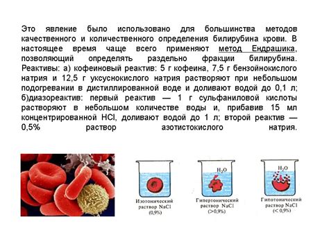 Принципы определения билирубина полуколичественно