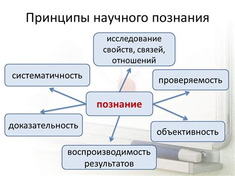 Принципы познания взаимодействий