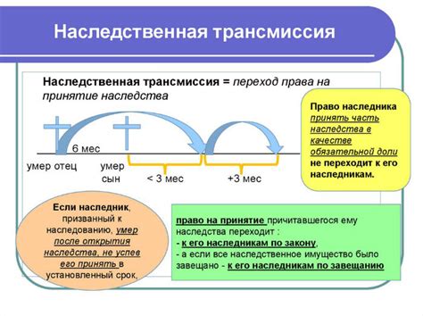 Принципы права представления при наследстве