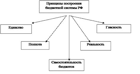 Принципы работы бюджетного института