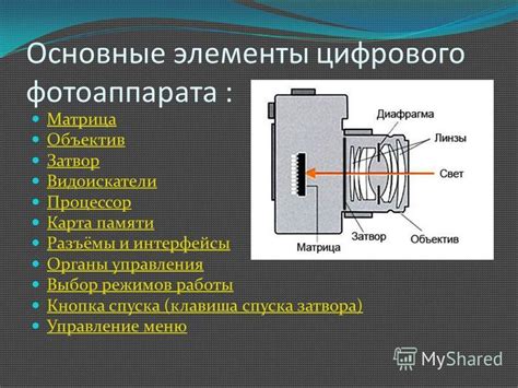 Принципы работы и назначение боди фотоаппарата