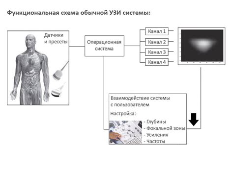 Принципы работы трехмерного УЗИ