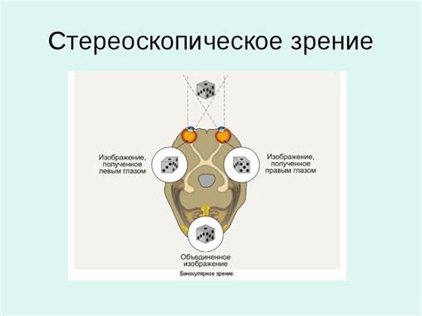 Принципы стереоскопического формата