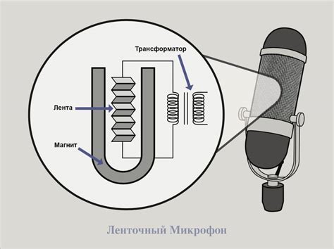 Принцип Фолля: история и особенности