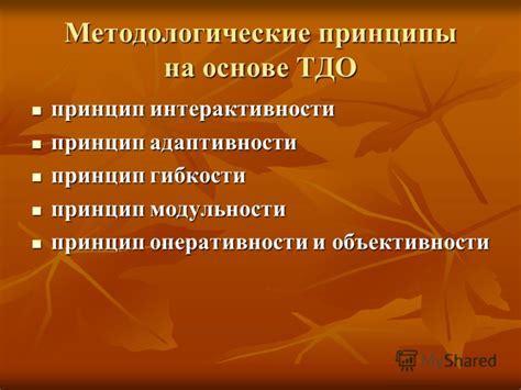 Принцип гибкости и адаптивности