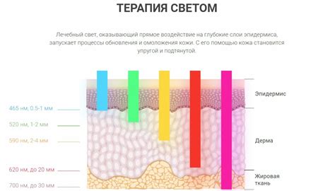 Принцип действия волюметрика в косметологии