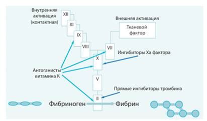 Принцип действия непрямых антикоагулянтов