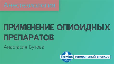 Принцип действия опиоидных препаратов