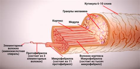 Принцип действия перманентной краски