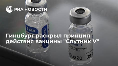 Принцип действия субъединичной вакцины