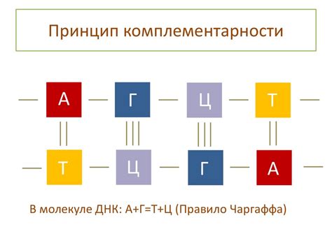 Принцип комплементарности