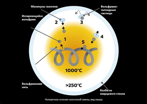 Принцип работы галогеновой лампы