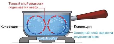 Принцип работы искусственной конвекции