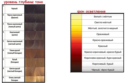 Принцип работы колерования краски