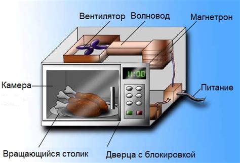 Принцип работы микроволновой печи