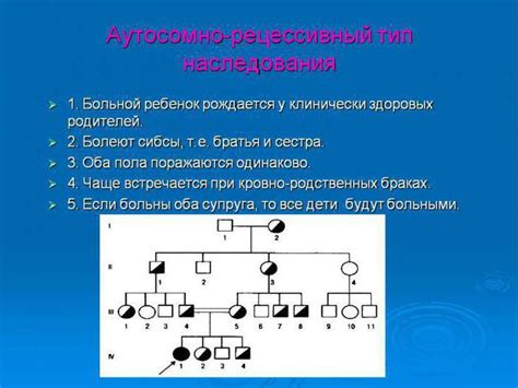 Принцип работы наследования по аутосомно рецессивному типу