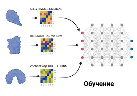 Принцип работы нейрографии