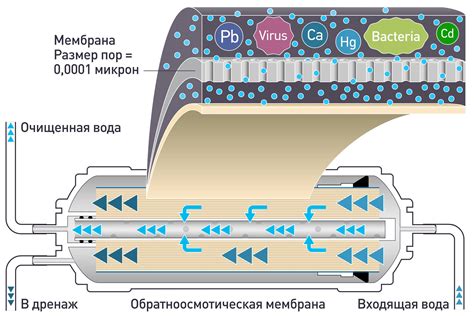 Принцип работы осмоса